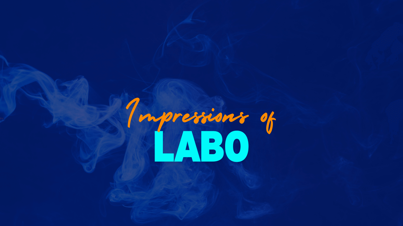 Impressions of Labo